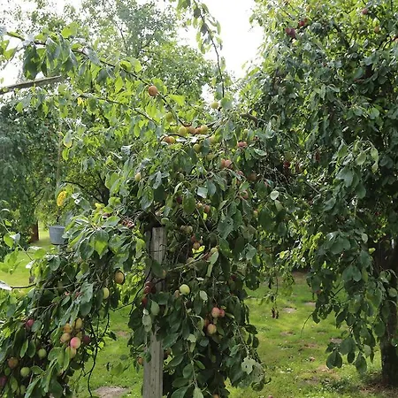 De Lindeboom Szálloda 3*