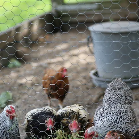 De Lindeboom 3* Winterswijk