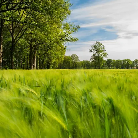 De Lindeboom Отель