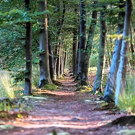 Szálloda De Lindeboom 3*