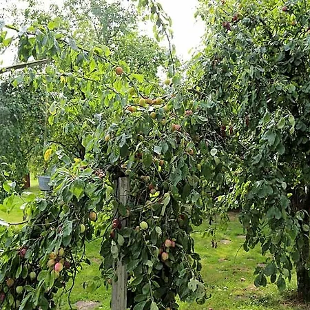De Lindeboom 3* Winterswijk