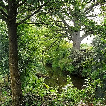 Szálloda De Lindeboom 3*