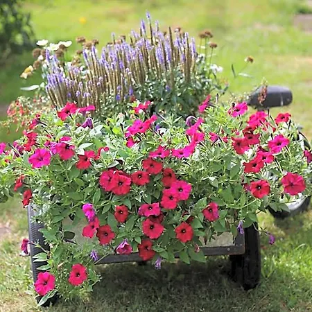 De Lindeboom Szálloda Winterswijk