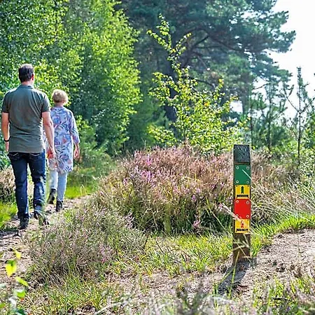 De Lindeboom Winterswijk