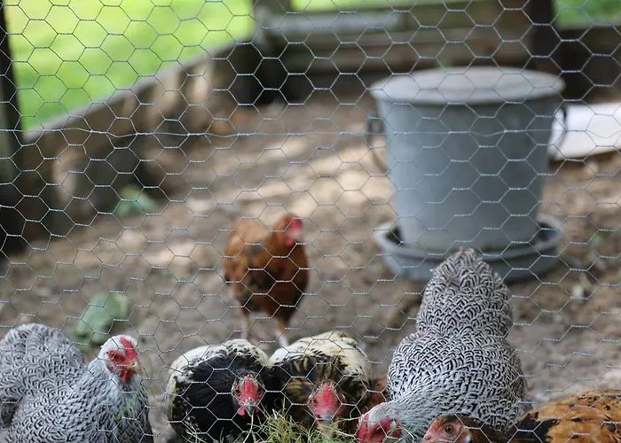 De Lindeboom 3* Winterswijk