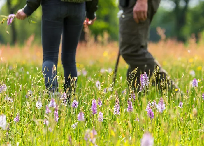 Hotel De Lindeboom 3*