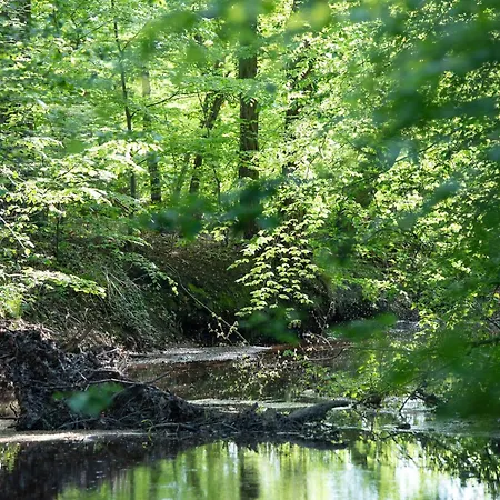 De Lindeboom Отель