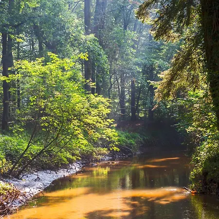 De Lindeboom 3* Винтерсвейк