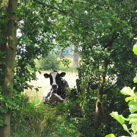 Отель De Lindeboom Винтерсвейк