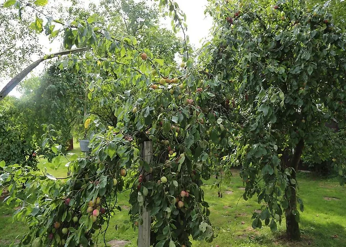 De Lindeboom Hotel 3*