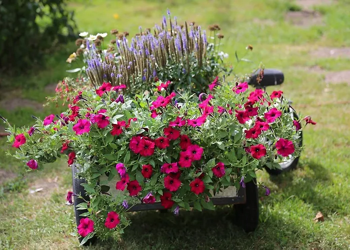Hotel De Lindeboom Winterswijk