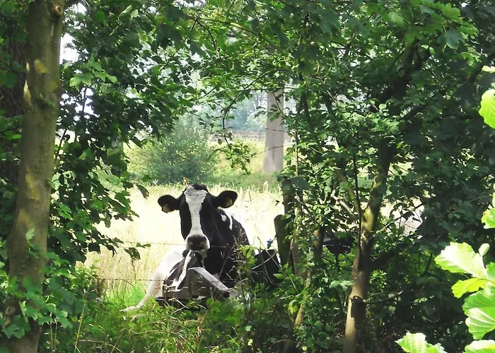 Hotel De Lindeboom Winterswijk